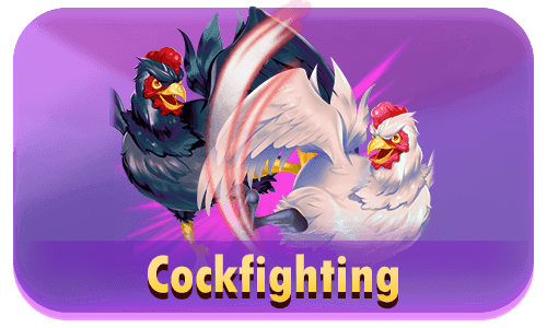 Cockfighting